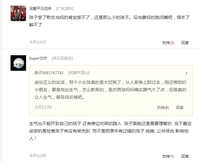 網友評論眾說紛紜