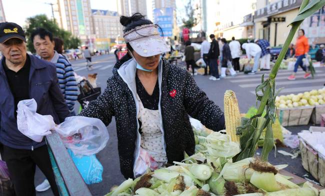 三伏天我們“熱成狗”，而黑龍江卻穿著棉襖出行。啥情況？