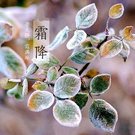 2017年霜降來臨，冬季將來了。