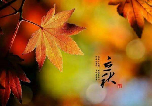 立秋已到，僑洋實業(yè)小編提醒你酷暑即將結(jié)束咯！