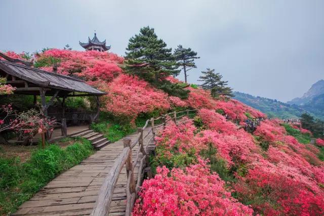 風里，雨里，在等你