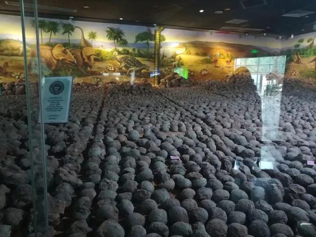 國際博物館日，僑洋實業環形變壓器廠家與您有個約會